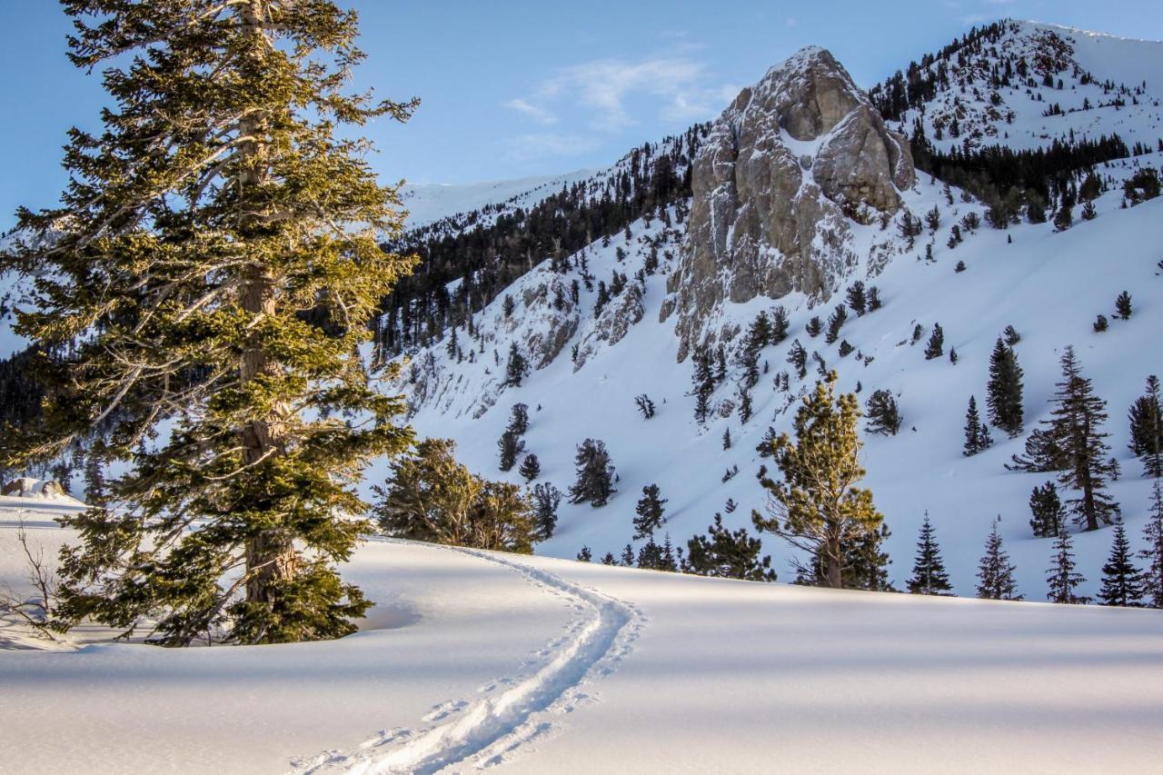 Woodlands 34 Lägenhet Mammoth Lakes Exteriör bild