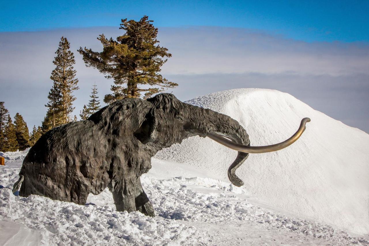 Woodlands 34 Lägenhet Mammoth Lakes Exteriör bild